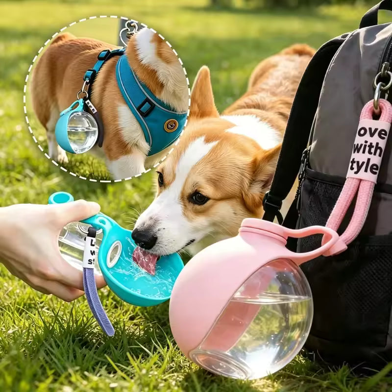 Portable Pet Water Bottle