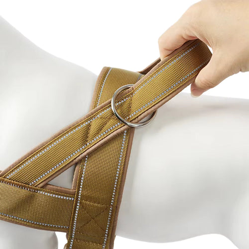 Anti-Pull Nylon Dog Harness with Handle