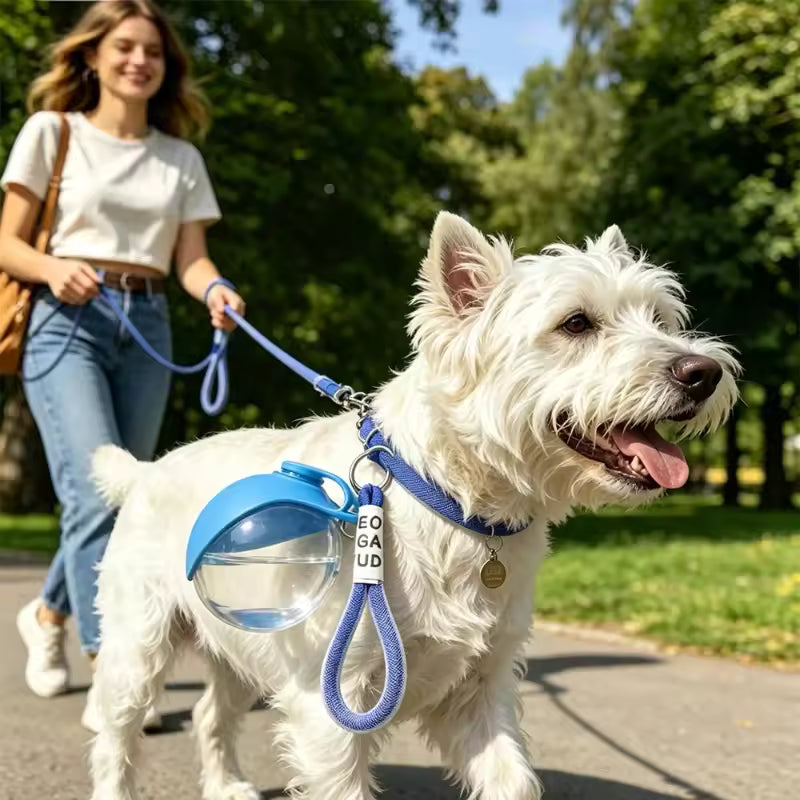 Portable Pet Water Bottle