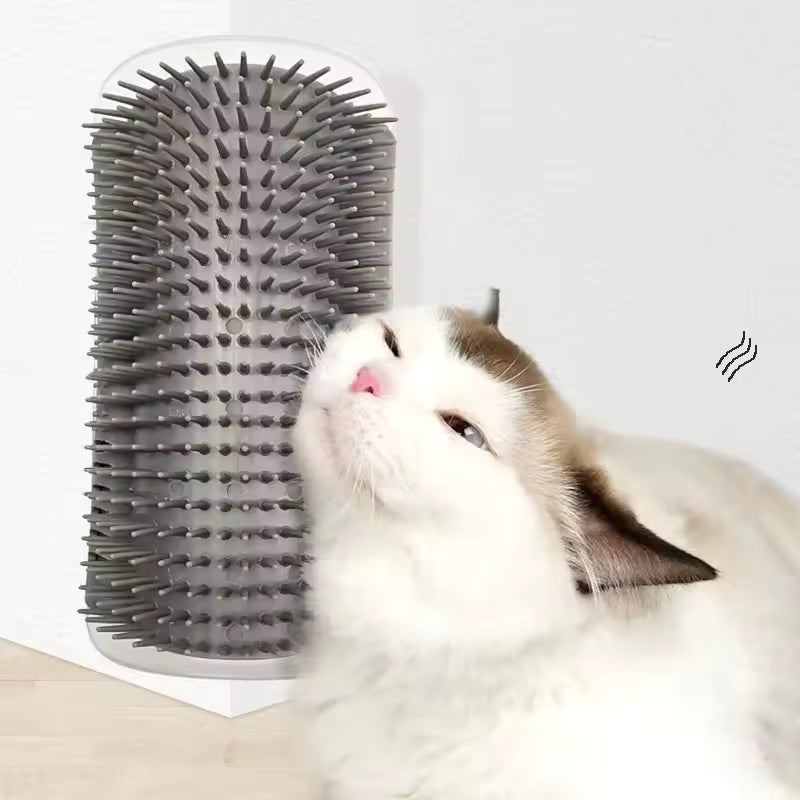 Grooming & Care