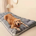 Large Plush Orthopedic Dog Bed