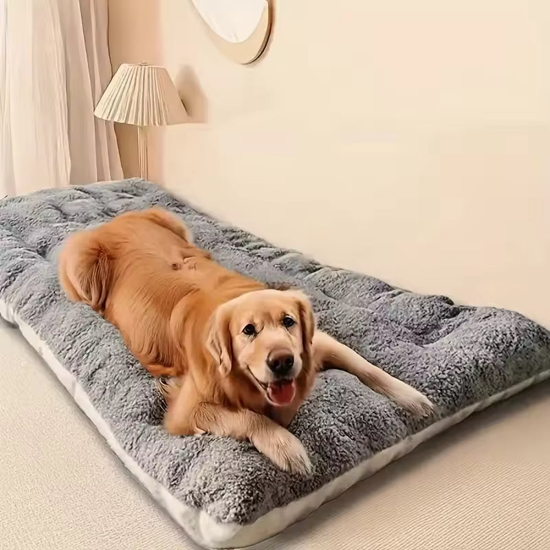 Beds & Comfort